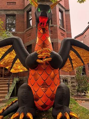 Help fill the Dragon's treasure trove for the Montreal Children's Hospital!
